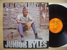 LP  MAX ROMEO - beat down babylon / 1972 ja-DYNAMIC classics NM  13 pictures