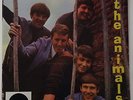 LP THE ANIMALS Boom Boom/Dimples 10