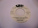 Marvin Gaye I'll Be Doggone/You've Been A 45 RPM Tamla Records VG+ soul promo