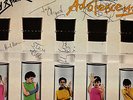 X RAY SPEX 