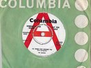 The Seekers I'll Never Find Another You Promo 45