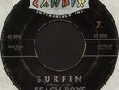 BEACH BOYS Surfin / Luau 7