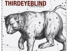 Third Eye Blind - Ursa Major [Vinyl; LP] Rarität