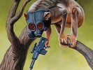 Sunny Day Real Estate / Circa Survive Split 7