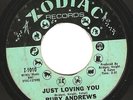 Northern Soul 45 RUBY ANDREWS 
