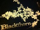 BLACKTHORN S/T LP RARE PRIVATE PRESS UK FOLK WHM RECORDS