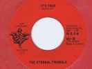 Eternal Triangle 45 It's True 1966 Rare Vancouver Psychedelic NM Susan Jacks