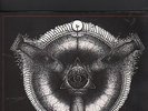 PENTACLE - rides the moonstorm LP