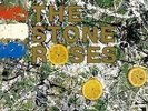 THE STONE ROSES s/t  2x LP NEW VINYL Silvertone deluxe reissue Fool's Gold I Am
