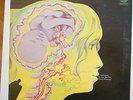 Keith Tippett Group Dedicated to you..E.Dean-Charig-Wyatt Vertigo UK Jazz