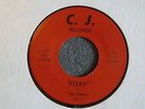 Clark Bridges Foxy / In My Dreams C.J. 655 M- Obscure Chicago Funky Northern