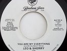 LEO & SHERRY - You Are My Everything - BARBARA JEAN - Original US 45 MODERN SOUL