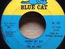 THE AD LIBS northern soul 45 Johnny My Boy/I'm Just A Down Home Girl   Blue Cat