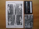 V/A - KLINIK STRATIS WE BE ECHO X-RAY POP HATERS KELDAY minimal synth industrial