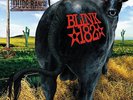 Blink 182 Dude Ranch Clear with Orange and Brown Splatter Vinyl Record LP