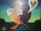 Nick Drake 1972 Pink Moon LP ILPS 9184 GATEFOLD witch on pink-rimmed label