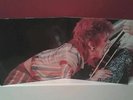 THE SWINGIN PIG ROCK N ROLL SUICIDE COLLECTORS ALBUM  ** REDUCED**