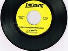 P.P Arnold - Everything gonna be alright /Life is but nothing, vg+Northern soul