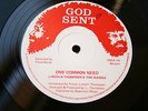 LINCOLN THOMPSON & THE RASSES-One Common Need-/UK GOD SENT killer roots 12” NM