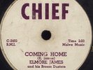 78 RPM VERY  RARE GUITAR BLUES VOCAL ELMORE JAMES  CHIEF 7001 MUST SEE / VG+VG++