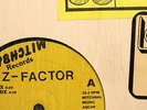 Z-FACTOR-I AM THE DJ D.J. RMX-HOUSE 12