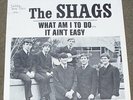 60's GARAGE PICTURE SLEEVE Shags What Am I To Do b/w It Ain't Easy Golden Voice