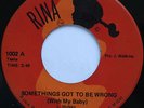 Rare Sweet Soul 45 - Dezilles - Somethings Got To Be Wrong - RINA mp3 Killer