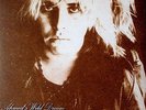 THE GUN CLUB Ahmed's Wild Dream 2xLP . jeffrey lee pierce cramps blasters congo