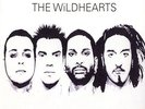 THE WILDHEARTS S/T 2xLP . ginger primal scream hanoi rocks hypnotics damned