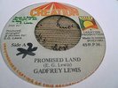 Gadfrey Lewis Promised Land Rare Killer Roots 7