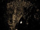 NEAR MINT Wolves in the Throne Room - 
