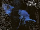 NEAR MINT Wolves in the Throne Room - Black Cascade (Ltd. Blue Clear 2xLP)