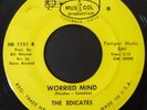 Rare Ohio Garage 45 THE EDICATES Worried Mind / She's Gone on Mus-I-Col