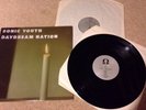 Sonic Youth Daydream Nation Double Album Vinyl Record LP 1988