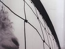 rsd 2011 pearl jam vs. lp sealed 180 gram