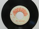 AGUSTUS PABLO 45 Reggae In The Fields AQUARIUS Pre-Release Roots Reggae S15