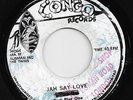 Twin roots - Jah Say Love - Congo - 1976 - Ja - Upsetter - Roots Killer RARE ??