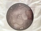 KATE BUSH LAKE TAHOE/AMONG ANGELS RECORD STORE DAY PICTURE DISC