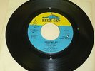 NORTHERN SOUL 45 RPM RECORD - THE AD LIBS - BLUE CAT 123