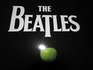 SEALED = THE BEATLES - 16 LP BOX SET + 252 PG BOOK AUDIOPHILE LTD ED = 224 SONGS