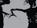 TWILIGHT SINGERS**DYNAMITE STEPS(W/FREE MP3)**2LP