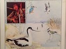 BERT JANSCH Avocet LP Charisma 1979 RARE EX/EX