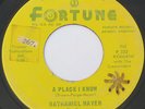 Detroit R & B Soul 45 - NATHANIEL MAYER - A Place I Know - FORTUNE