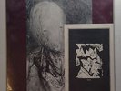 Biota ST LP electronic experimental Dys Records
