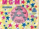 APRIL STEVENS - FALLING IN LOVE AGAIN     (1967 RARE NORTHERN SOUL DEMO)