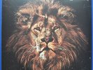 JOHN BUTLER TRIO, April Uprising, Jarrah Vinyl Double LP 2010, NEU