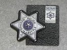 The Police LIMITED EDITION Message in a Bottle star shape picture disc vinyl
