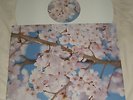 PET SHOP BOYS - MIRACLES - RARE WHITE VINYL 12