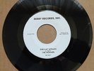 POP GARAGE, THE NOMADS, PLEASE DON'T HURT ME, ON DERBY RECORDS