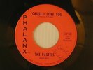 The Pastels 45 'CAUSE I LOVE YOU / DON'T YA KNOW   Phalanx VG  Michigan rock